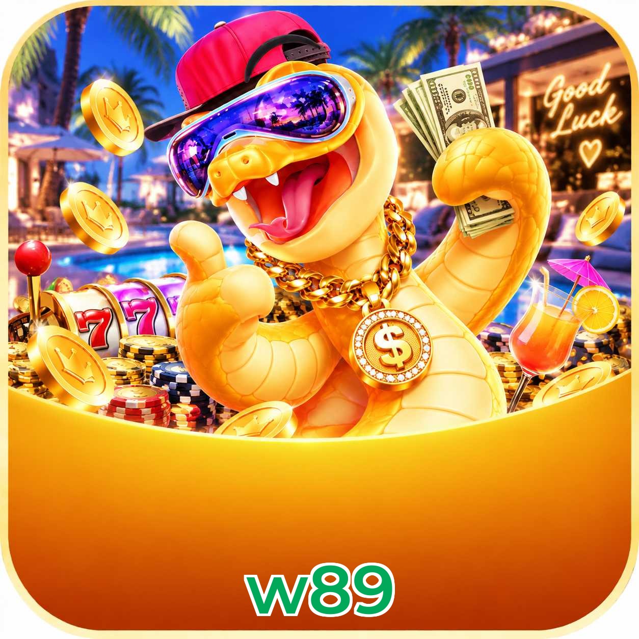 w89 Installation Guide