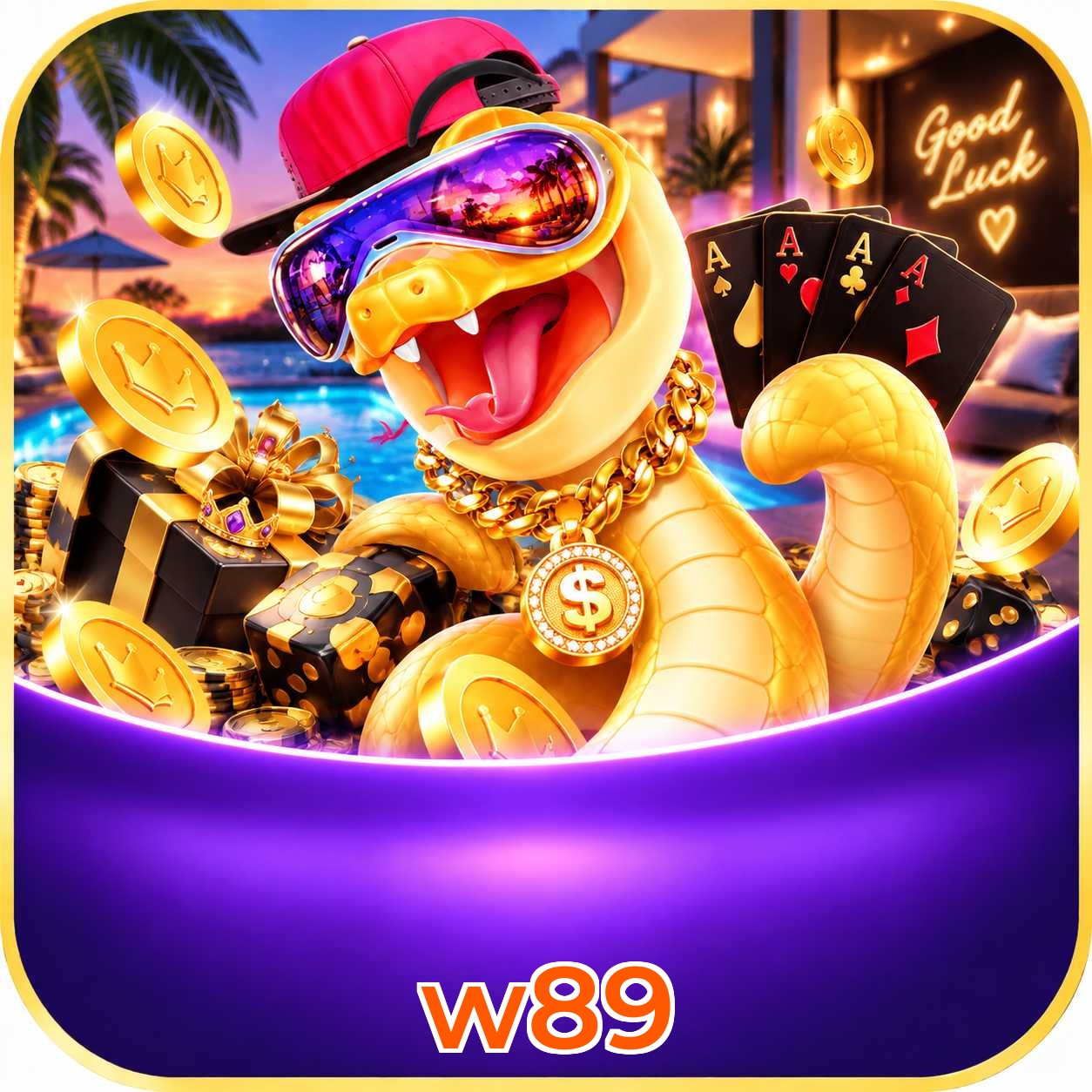 w89 App Features